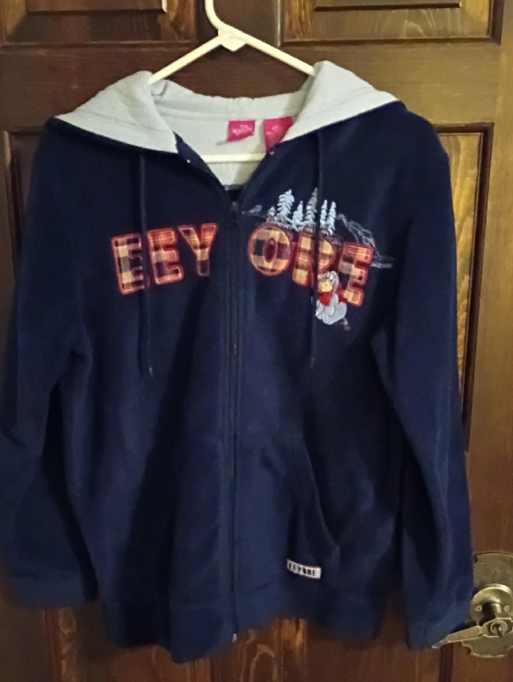Disney Navy Zip-Up Hoodie with Eeyore Plaid Lettering